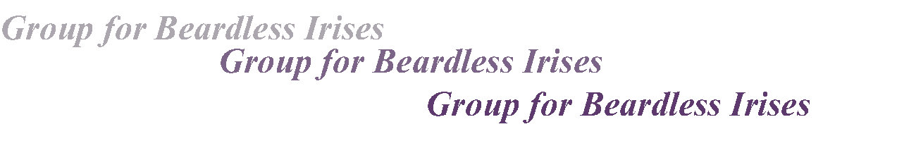 Group for Bearless Irises