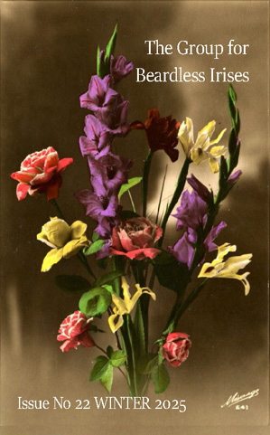 cover of Review Winter 2025